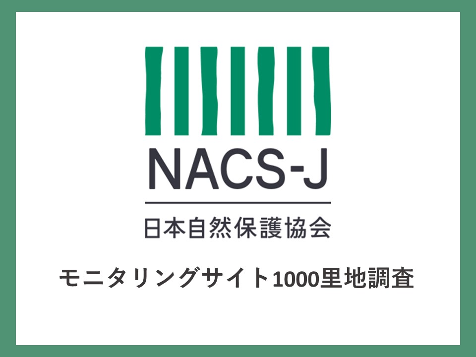 NACS-J1000